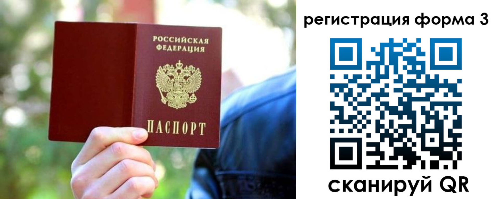 прописка поиск в Калининграде